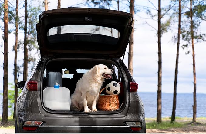 Collapsible Water Jug, 10 Packs 5.3 Gallon BPA Free Camping Water Container with Spigot, Portable Water Storage Carrier for Emergency Survival Hiking Backpacking Outdoors - Food Grade LDPE-NeatNest