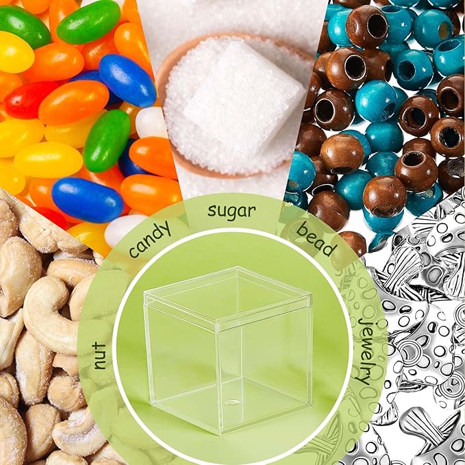 Blulu 8 Pieces Clear Acrylic Plastic Jewelry Box Mini Storage Box Mini Cube Containers with Lids for Candy Pill and Tiny Jewelry(Square,3.9 x 3.9 x 3.9 Inch)-NeatNest