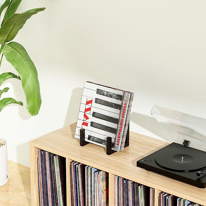 2Pack Records Storage Holder, Vinyl LP Stand CD Display Frame,Metal Album Storage for Vinyl Records (Black)