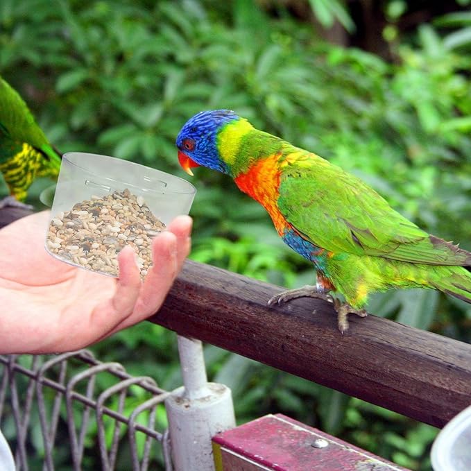 Bird Seed Storage Container,2.8L Airtight Bird Food Container with Handle and Measuring Cup,Portable Pet Food Container for Wild Bird Sunflower Seed-BPA Free Transparent/Blue-NeatNest