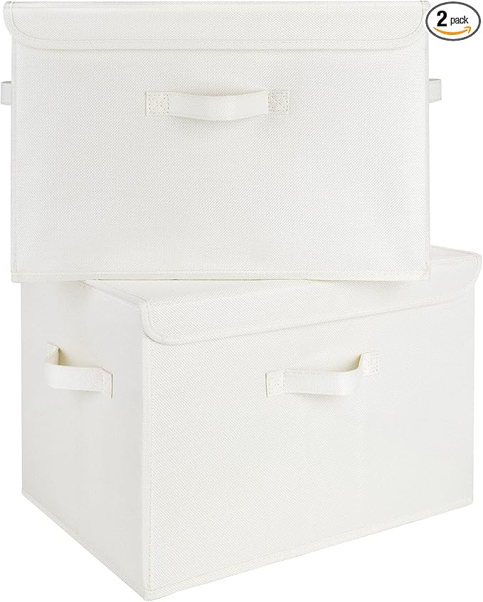 GRANNY SAYS Storage Boxes with Lids, Large Storage Bins with Lids, Decorative Box, Shelves Baskets, Clothes Storage and Organization, 2-Pack-NeatNest