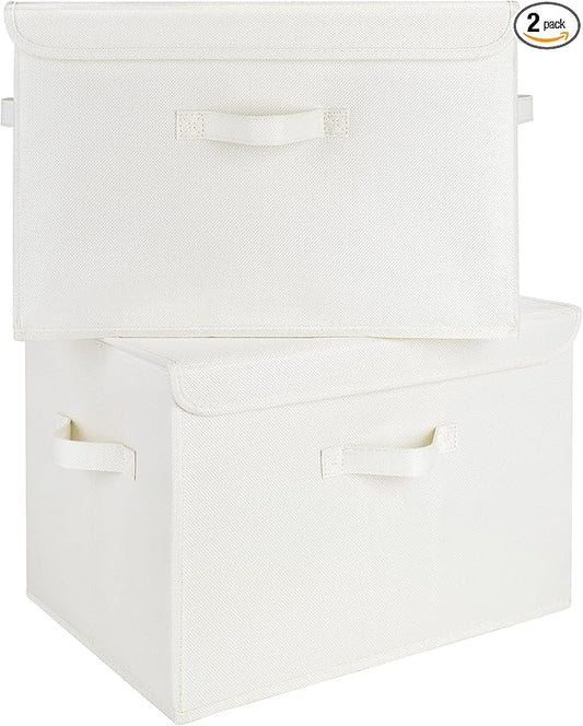 GRANNY SAYS Storage Boxes with Lids, Large Storage Bins with Lids, Decorative Box, Shelves Baskets, Clothes Storage and Organization, 2-Pack-NeatNest