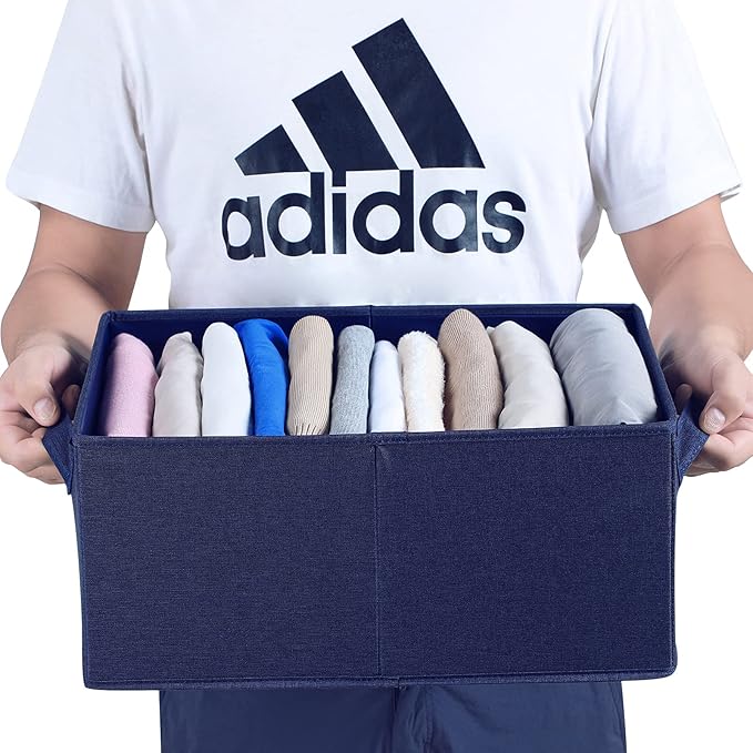 HOONEX Foldable Storage Bins with Lids, Pack of 2, Storage Boxes with 2 Carrying Handles and Heavy Cardboard, 16.5" L x 11.8" W x 7.5" H for Shoes, Clothes, Blue-NeatNest