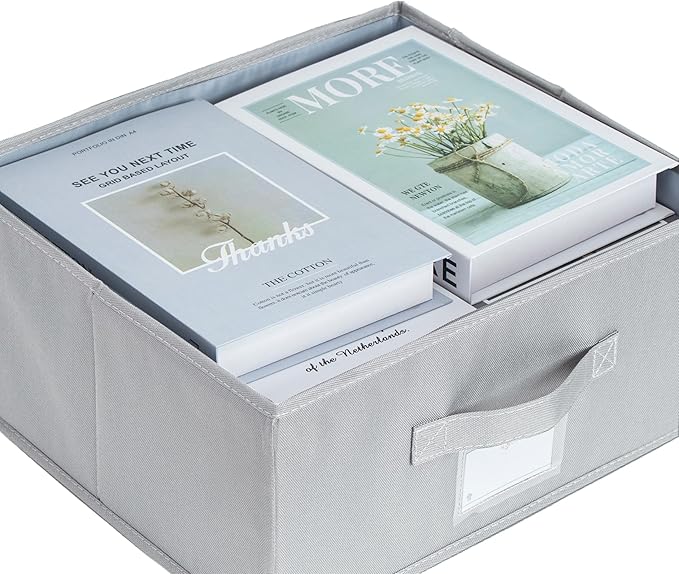 2 Pack Collapsible Storage Bins - Fabric Storage Bins with Lid for DVD Storage, Memory Box, Versatile Closet Storage Bins (Light Grey, 14.2" L x 12.6" W x 6.3" H)-NeatNest