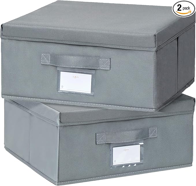 2 Pack Collapsible Storage Bins - Fabric Storage Bins with Lid for DVD Storage, Memory Box, Versatile Closet Storage Bins (Dark Grey, 14.2" L x 12.6" W x 6.3" H)-NeatNest