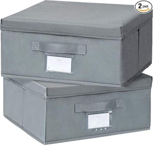 2 Pack Collapsible Storage Bins - Fabric Storage Bins with Lid for DVD Storage, Memory Box, Versatile Closet Storage Bins (Dark Grey, 14.2" L x 12.6" W x 6.3" H)-NeatNest