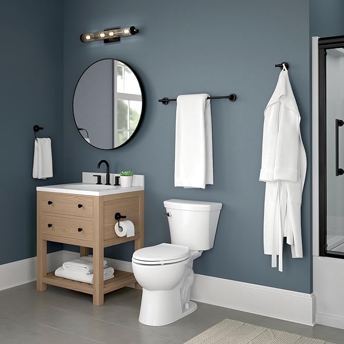 Franklin Brass Voisin (1-Pack) Towel Hooks Matte Black Wall, Double, Mounted for Robes 2-Prong Holder, Bathroom Accessories VOI35-MB