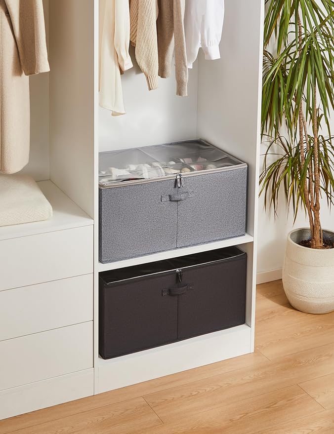 Shoe Storage Organizer for Closet, Shoe Box Organizer, Space Saving Foldable Shoe Rack, Shoe Storage Cabinet with Clear Cover and Reinforced Handles, Fits 20 Pairs, Black-NeatNest