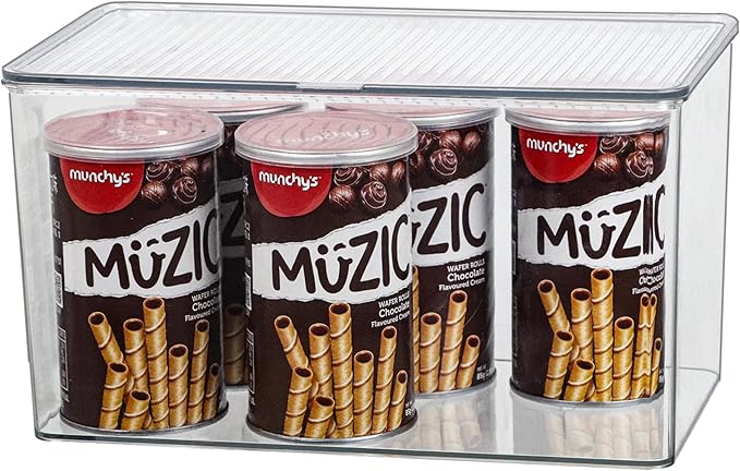 Clear Plastic Storage Bin with Lid, Organizer for Pantry, Office, Bathroom, Kitchen, Snack, Tea Bag, Coffee Container (Large)-NeatNest