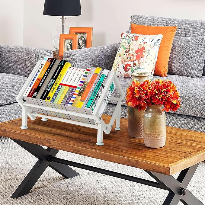 ENCIMART Tabletop Bookshelf Organizer, Adjustable Desk Shelf for Top of Desk in Living Room, Home, Office, Stainless Steel Tilting Bookcase Desktop Storage Book Rack for Magazine/CDs/Books Display-NeatNest