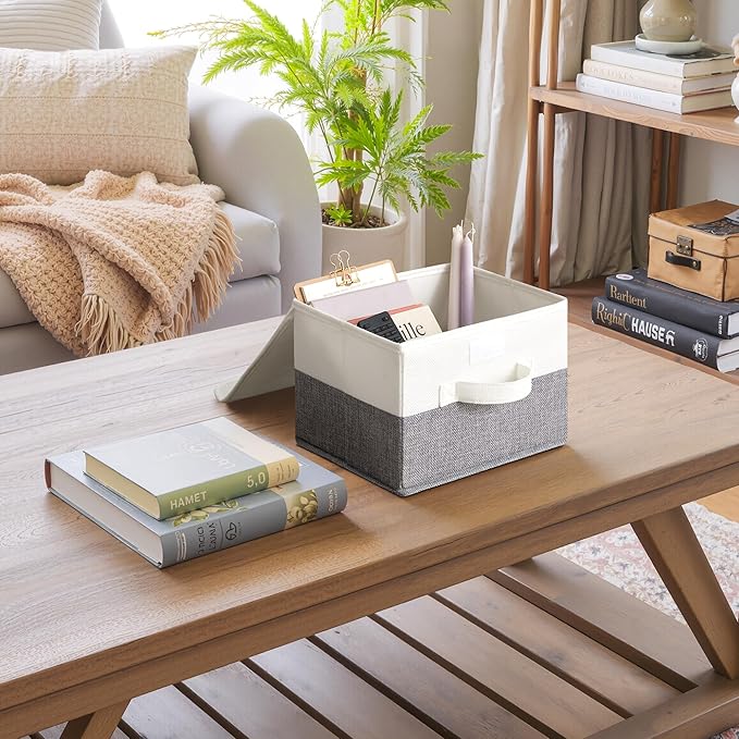 GRANNY SAYS Small Storage Bins with Lids, Small Storage Boxes, Shelf Baskets for Shelf, Collapsible Storage Bins for Living Room, Bedroom, 10x8x7 Inch, White/Gray, 2-Pack-NeatNest
