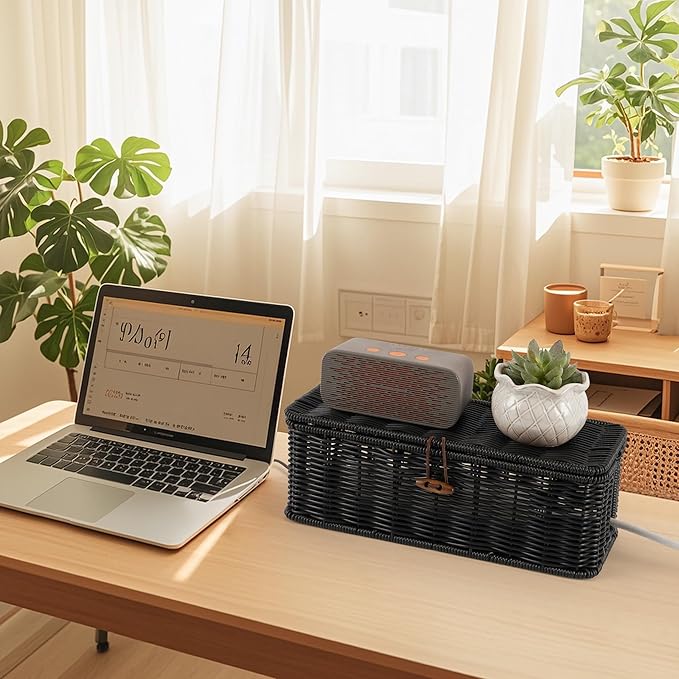 Cable Management Box, Handwoven Faux Rattan Cord Organizer Box with Lid, 2 Open Slots Cable Organizer Box, Decorative Cord Hider Box for Tv Computer USB Hub & Power Strip Holder