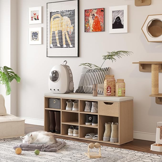 DINZI LVJ Shoe Storage Bench with Cushion, 11- Cubby Entryway Bench with Drawer and Adjustable Shelves, 40.9" Long Cubby Shoe Rack for Living Room, Bedroom, Mudroom, Natural and Cappuccino Beige-NeatNest