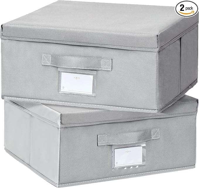 2 Pack Collapsible Storage Bins - Fabric Storage Bins with Lid for DVD Storage, Memory Box, Versatile Closet Storage Bins (Light Grey, 14.2" L x 12.6" W x 6.3" H)-NeatNest