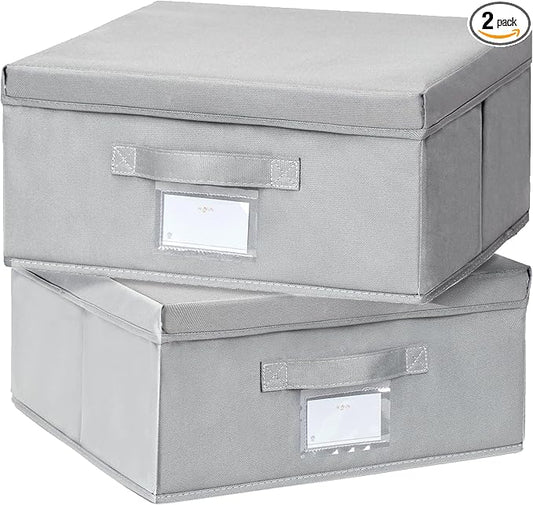 2 Pack Collapsible Storage Bins - Fabric Storage Bins with Lid for DVD Storage, Memory Box, Versatile Closet Storage Bins (Light Grey, 14.2" L x 12.6" W x 6.3" H)-NeatNest