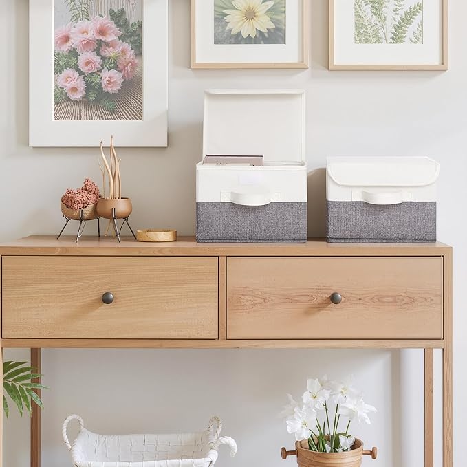 GRANNY SAYS Small Storage Bins with Lids, Small Storage Boxes, Shelf Baskets for Shelf, Collapsible Storage Bins for Living Room, Bedroom, 10x8x7 Inch, White/Gray, 2-Pack-NeatNest