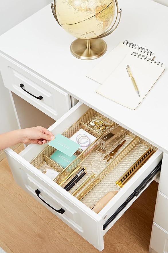 Annova Desk Top Organizer Tray for Office Organization - Metal Mesh - Storage Tray with Dividers for Pens, Desktop Accessories, Bathroom, Kitchen, Makeup and Office Supplies (Large, Gold)-NeatNest