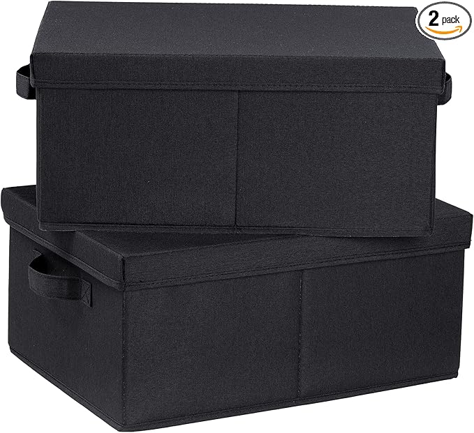 HOONEX Storage Bins with Lids for Organizing, Pack of 2, Storage Boxes with 2 Carrying Handles and Sturdy Heavy Cardboard, 16.5" L x 11.8" W x 7.5" H for Shoes, Books, Clothes, Black-NeatNest