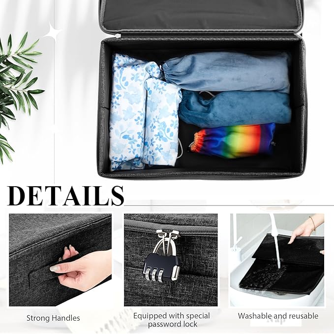 Discreet Lockable Personal Items Bag Storage Organizer Bag Storage Bins Case with Zipper Lid 15 x 10 x 6. 3 Inches for Women and Men Clothes Container (Black)-NeatNest