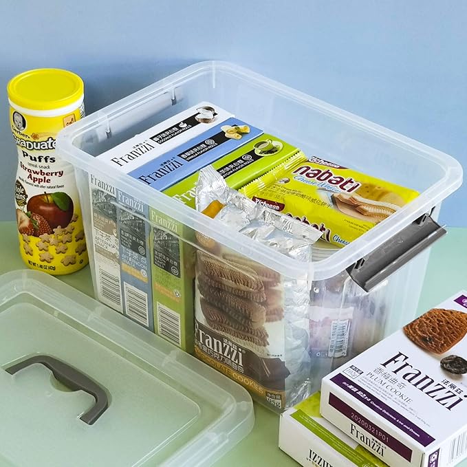 Bringer 6-Pack Clear Plastic Latching Storage Box, Plastic Box, 10 L-NeatNest