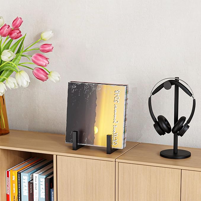 2Pack Records Storage Holder, Vinyl LP Stand CD Display Frame,Metal Album Storage for Vinyl Records (Black)