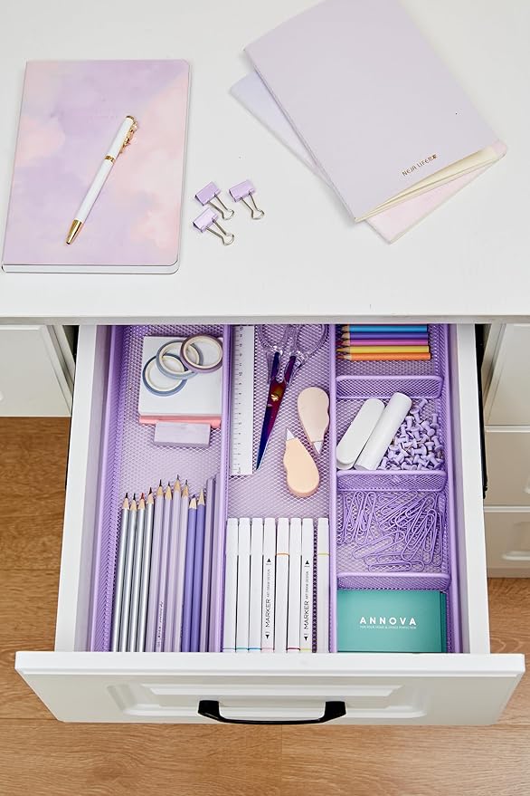 Annova Desk Top Organizer Tray for Office Organization - Metal Mesh - Storage Tray with Dividers for Pens, Desktop Accessories, Bathroom, Kitchen, Makeup and Office Supplies (Large, Purple)-NeatNest