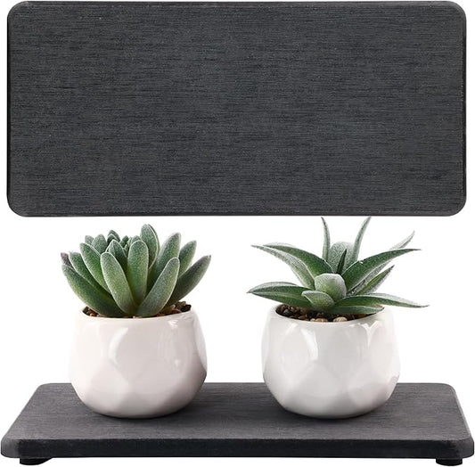 2 Pcs Water Absorbing Stone Trays, Kitchen/Bathroom Sink Soap Dish, Diatomite Tray Used for Hand Soap & Cosmetic Bottles in The Modern Home, 4" W x 8.3" L, Dark Gray-NeatNest