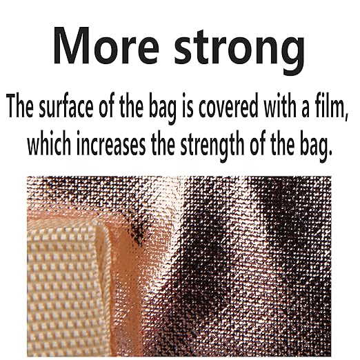insulated picnic bag extra cooler Grocery shopping bags, Reusable, Heavy Duty, zipped zipper,Collapsible,tote,for men,women,for car,Recycled Golden XL-Large-NeatNest