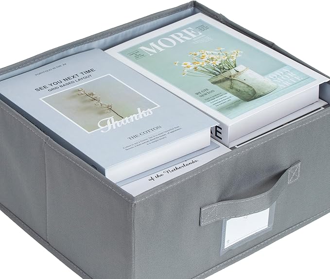 2 Pack Collapsible Storage Bins - Fabric Storage Bins with Lid for DVD Storage, Memory Box, Versatile Closet Storage Bins (Dark Grey, 14.2" L x 12.6" W x 6.3" H)-NeatNest