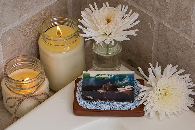 Aira Soap Saver - Soap Dish & Holder - BPA Free Shower & Bath Holder - Drains Water, Circulates Air, Extends Soap Life - Easy to Clean, Fits Sets - Seaside Fish-NeatNest
