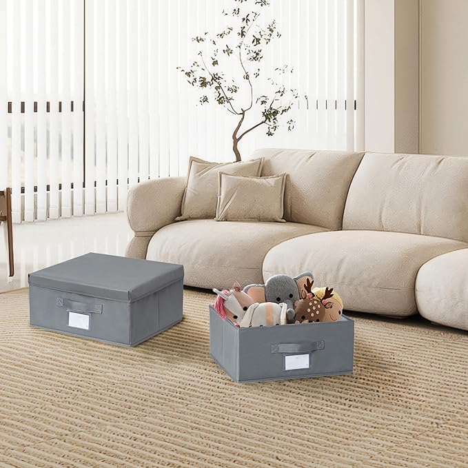 2 Pack Collapsible Storage Bins - Fabric Storage Bins with Lid for DVD Storage, Memory Box, Versatile Closet Storage Bins (Dark Grey, 14.2" L x 12.6" W x 6.3" H)-NeatNest