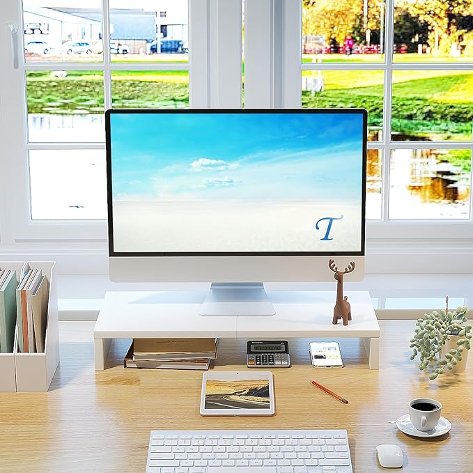 TEAMIX 20 inch White Monitor Stand Riser, Wood Desktop Stand for PC/TV/Laptop/Printer, White Monitor Riser with Storage, Computer Stand with Keyboard Organizer-NeatNest
