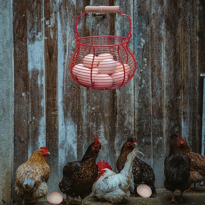 LINCOUNTRY. Farmhouse Wire Egg Basket for Gathering Fresh Eggs with Handle,Red Rustic Round Egg Collecting Baskets for Fresh Egg Container Refrigerator Countertop Holder Kitchen Storage Bin
