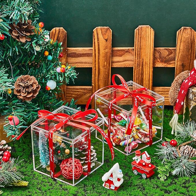 Blulu 8 Pieces Clear Acrylic Plastic Jewelry Box Mini Storage Box Mini Cube Containers with Lids for Candy Pill and Tiny Jewelry(Square,4.72 x 4.72 x 4.72 Inch)-NeatNest