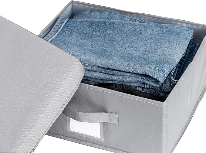 2 Pack Collapsible Storage Bins - Fabric Storage Bins with Lid for DVD Storage, Memory Box, Versatile Closet Storage Bins (Light Grey, 14.2" L x 12.6" W x 6.3" H)-NeatNest