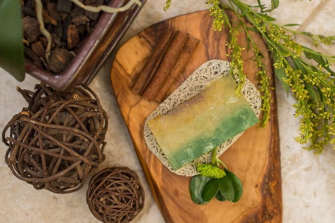 Aira Soap Saver - Dish & Holder - BPA Free Shower & Bath Soap Holder - Drains Water, Circulates Air, Extends Soap Life - Easy to Clean, Fits All Dish Sets - Sage Turtle-NeatNest