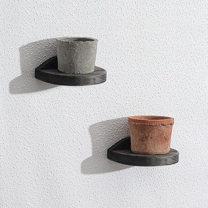 Freezing point Small Floating Shelves for Wall Set of 2 Semicircle Wood 4Inch Mini Wall Shelf Decor Plant Display Collectibles Mounted Kitchen Bathroom Bedroom Corner Decorative Storage Tiny Stand