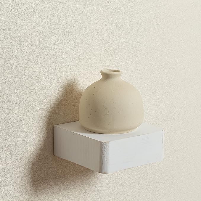 Freezing point Small Floating Shelf,Mini Wall Shelves for Kitchen Bedroom Living Room Bathroom Wall Decor Plant Display Collectibles Corner Decorative Storage Tiny White-NeatNest