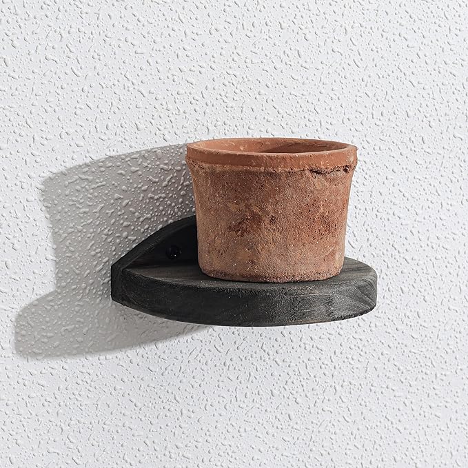 Freezing point Small Floating Shelves for Wall Set of 2 Semicircle Wood 4Inch Mini Wall Shelf Decor Plant Display Collectibles Mounted Kitchen Bathroom Bedroom Corner Decorative Storage Tiny Stand