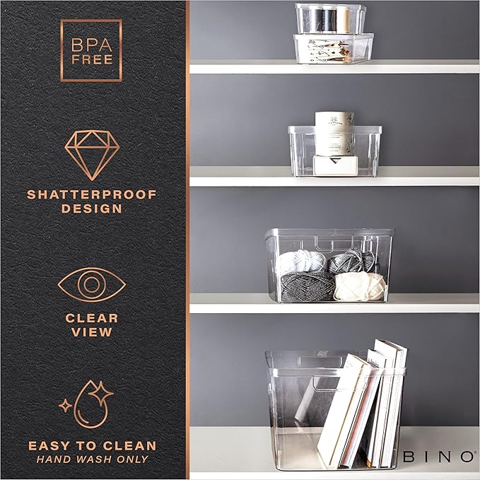 BINO | Plastic Storage Bins, Medium - 2 Pack | THE LUCID COLLECTION | Multi-Use Built-In Handles | BPA-Free | Clear Storage Containers | Fridge Organizer | Pantry & Home Organization-NeatNest