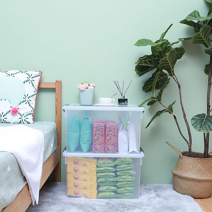 Citylife 58.1 QT Plastic Storage Bins with Latching Lids Stackable Storage Containers for Organizing Large Clear Storage Box for Garage, Closet, Kitchen, 8 Packs-NeatNest