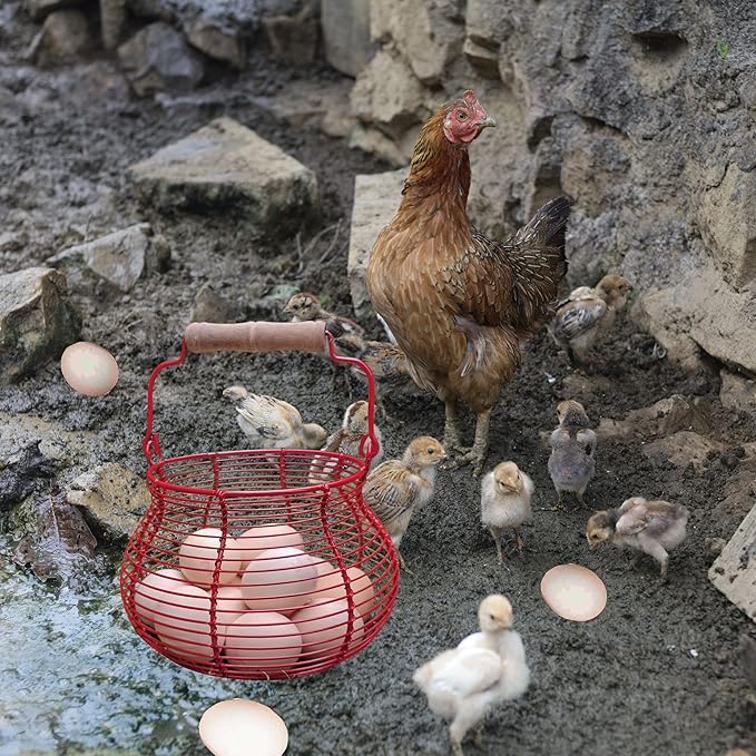 LINCOUNTRY. Farmhouse Wire Egg Basket for Gathering Fresh Eggs with Handle,Red Rustic Round Egg Collecting Baskets for Fresh Egg Container Refrigerator Countertop Holder Kitchen Storage Bin
